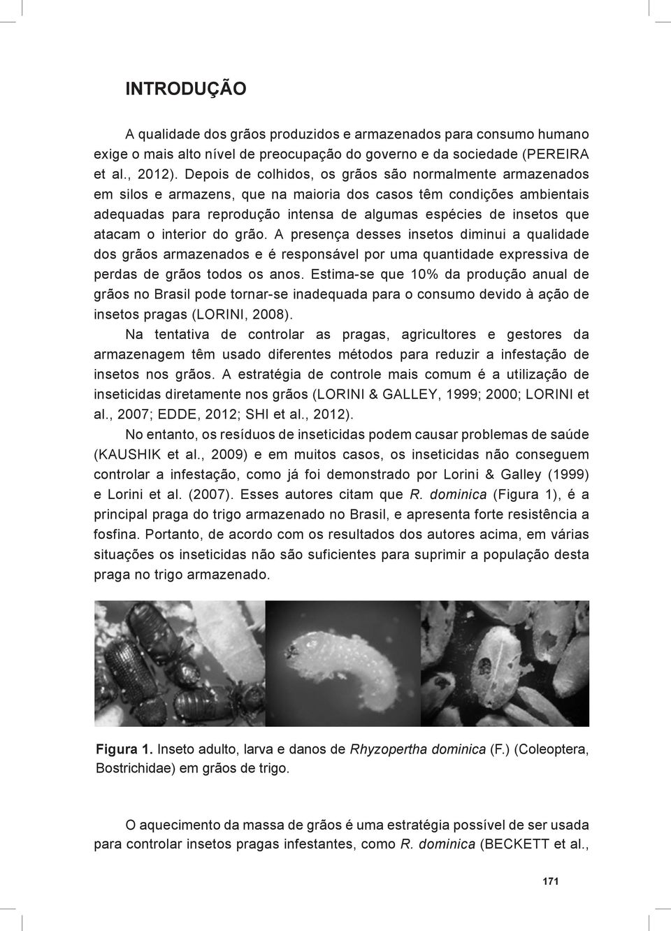 atacam o interior do grão. A presença desses insetos diminui a qualidade dos grãos armazenados e é responsável por uma quantidade expressiva de perdas de grãos todos os anos.