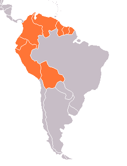 1. O mapa a seguir destaca a América Andina e Amazônica, um grupo de países do continente americano cujas identidades econômicas e culturais são definidas pela presença da Cordilheira dos Andes e da