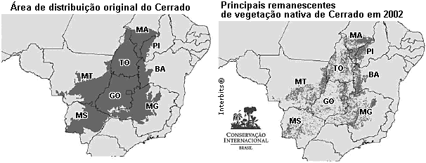 28. (Fgv 2012) O bioma, que ocupa 22% do território brasileiro, já perdeu quase 1 milhão de quilômetros quadrados, cerca de 48% de sua cobertura total.