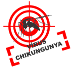 A febre Chikungunya é uma doença infecciosa causada pelo vírus chikungunya (CHIKV), que pode ser transmitida pelos mosquitos Aedes aegypti e Aedes albopictus.