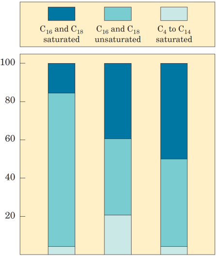 Funções: Armazenamento de energia Isolamento térmico 1-Stearoil, 2-linoleoil, 3-palmitoil glicerol um triacilglicerol misto Nos vertebrados, os adipócitos, armazenam grandes quantidades de