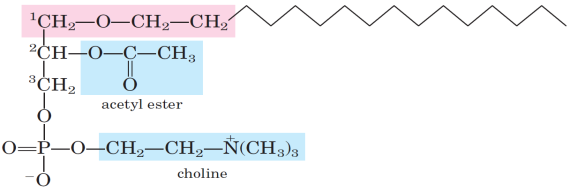 Ácidos graxos 19/03/2015 Fosfato Glicerol Substituinte R P Glicerofosfolipídeos Derivados do ácido fosfatídico * N 3 + Ác.