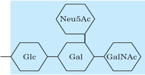 ác. graxo 19/03/2015 Esfingolipídios Glicerol 2 N Derivados da esfingosina Esfingosina um amino álcool de cadeia longa Carbonos C-1, C-2 e C-3 da molécula de esfingosina são estruturalmente similares