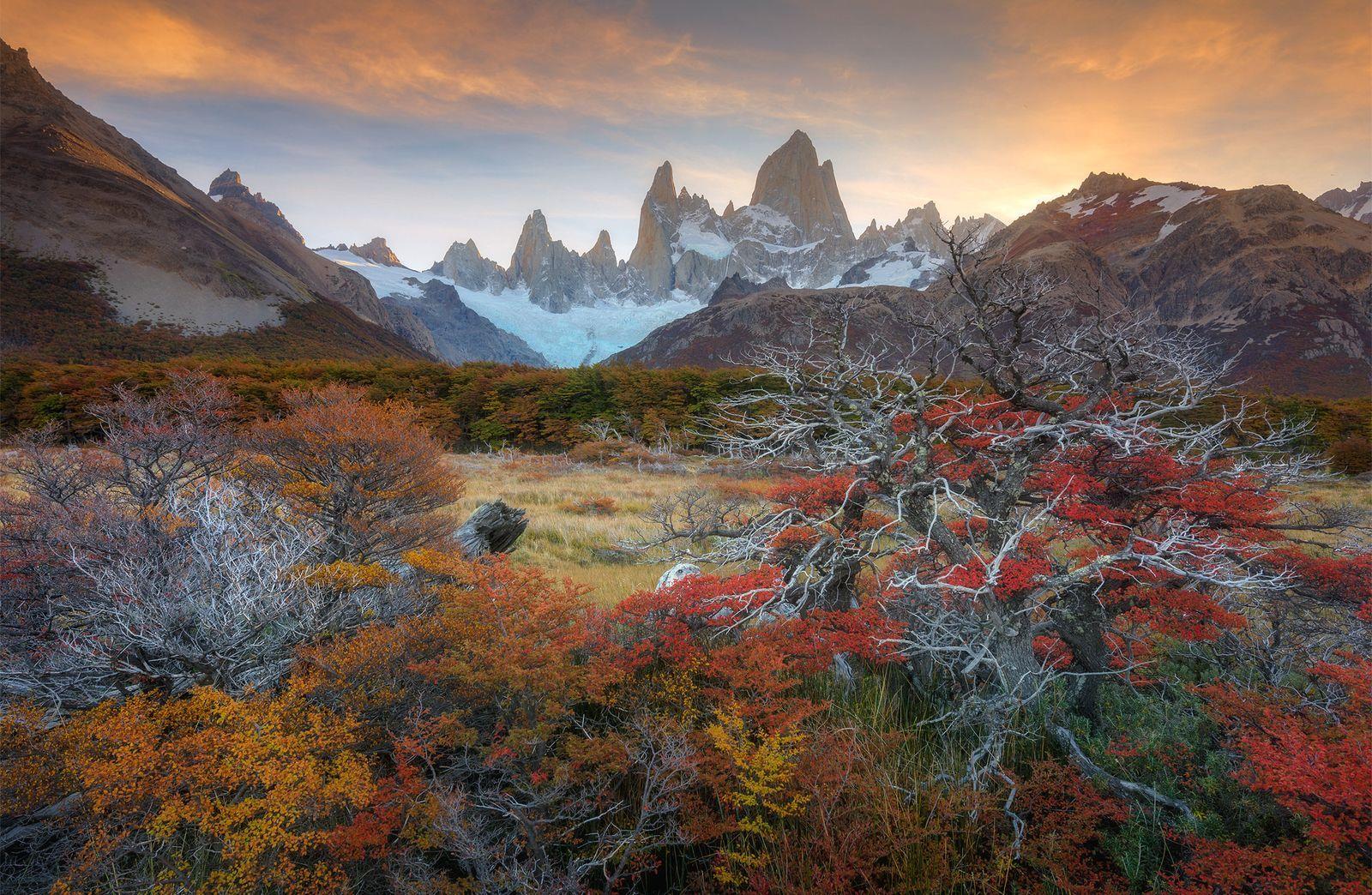 SEÇÕES DA REVISTA Explore: pequenas notícias sobre diversos temas do universo National Geographic Visões: fotos mais instigantes Sua Foto: melhores imagens enviadas