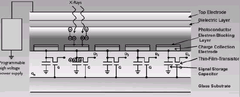 Radiografia Original Digitalizada Radiografia Processada Digitalmente ( Imagens cedidas pela GE ) Processo Direto - DR No processo direto, a energia da radiação é convertida