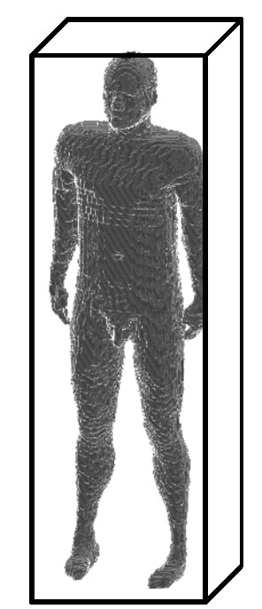41 Figura 9: Fatia 349 do fantoma MAX06 com 474 colunas e 222 linhas (IMAGEJ, 2007). Figura 10: Fantoma MAX06 dentro do paralelepípedo com 1461 fatias (IMAGEJ, 2007).