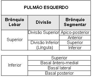 Atlas Fotográfico do Corpo