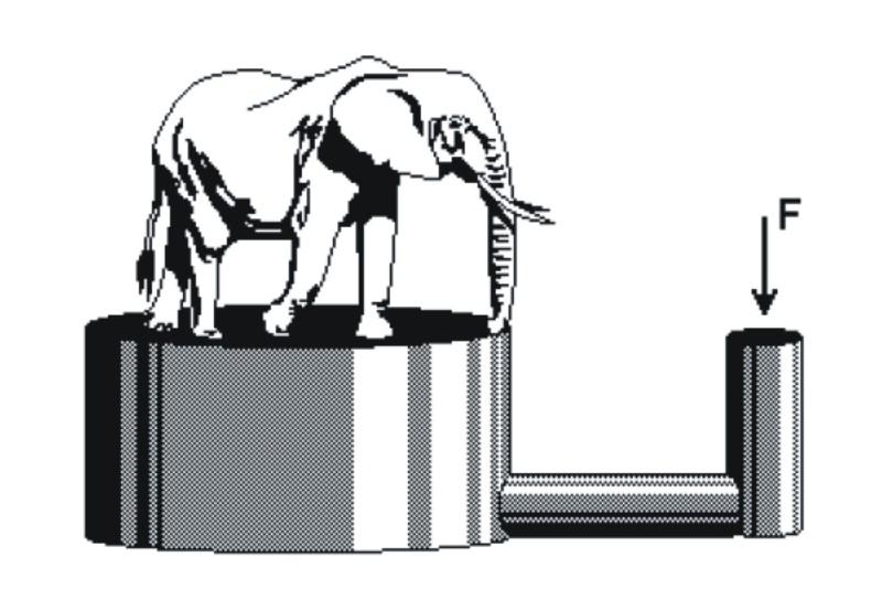 14- De acordo com o Princípio de Pascal, explique como o adestrador aplicando uma força em F consegue fazer com que a plataforma do elefante suba.