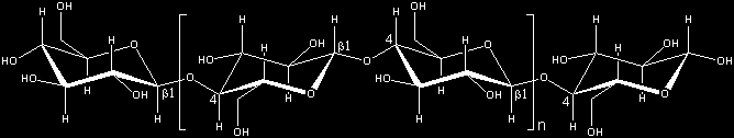 Celulose homopolimero de unidades de -(1 4)-D-glucopiranose Celobiose