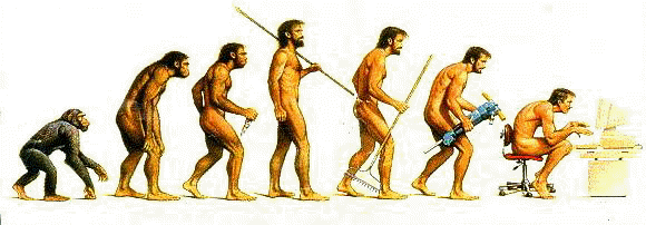 EVOLUÇÃO Do Ramapiteco ao Homo