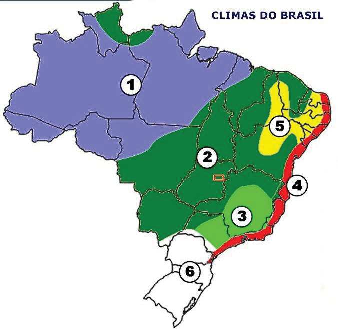 19 Observe o mapa e responda as questões. c) Que região brasileira estaria situada dentro das características apresentadas.