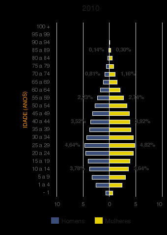 PIRÂMIDE ETÁRIA PIRÂMIDE ETÁRIA - 2000/2010 FONTE: IBGE - CENSO DEMOGRÁFICO As tendências indicam que a população dos países em desenvolvimento vai envelhecer muito mais depressa do que envelheceu a