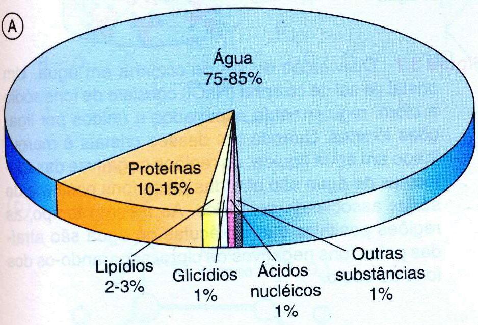 COMPOSIÇÃO