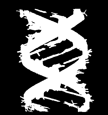 Taxa de mutação DNA: Taxa de erros de