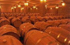 Agência de Notícias Brasil-Árabe - SP 09/11/2004-07:00 Brasil investe na exportação de vinhos finos Até setembro, as exportações brasileiras cresceram 42% em relação ao total do ano passado.