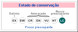 A maioria das colisões com corujas ocorreram no período da noite e