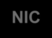 NIC NIC: parte da espessura do epitélio é substituída por células que mostram graus variados de atipia.