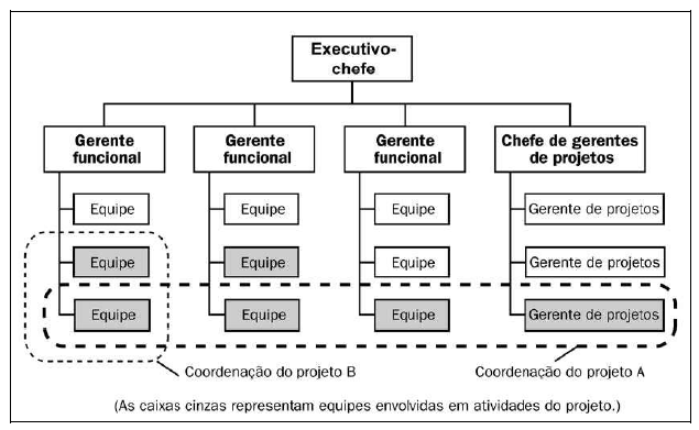 Figura 12 - Organização composta Fonte: Guia PMBOK [3] A figura 12, exemplifica de acordo com o Guia PMBOK [3], que mesmo as organizações fundamentalmente funcionais podem ter uma equipe de projetos