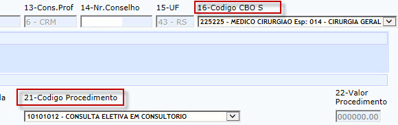 2. Registro de Consultas e atualização cadastral do cliente O registro de consultas via Portal Web não sofreu grandes mudanças. A nova guia é exibida com seus respectivos campos.