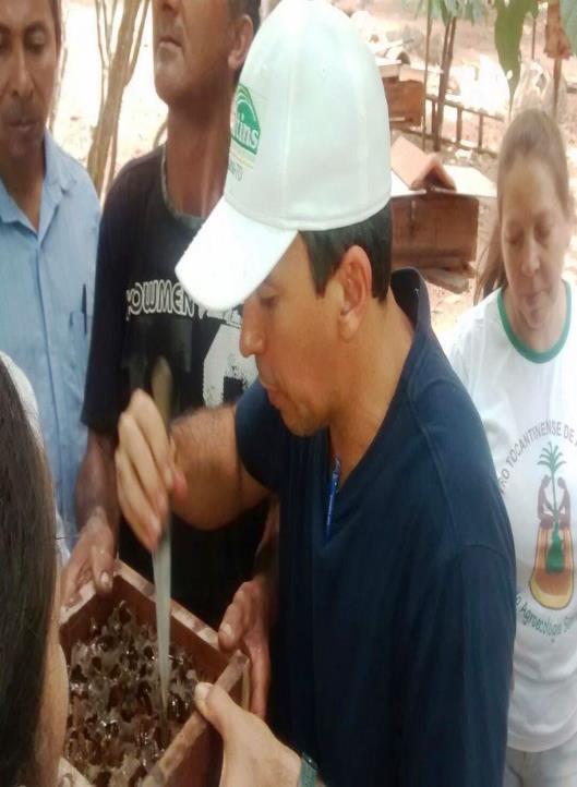 7. Depoimentos O grupo de interesse de miliponicultura era de 25 agricultores do município de Wanderlânia, especialmente da Associação Barra do Corda, esses agricultores, ou melhor, meliponicultores