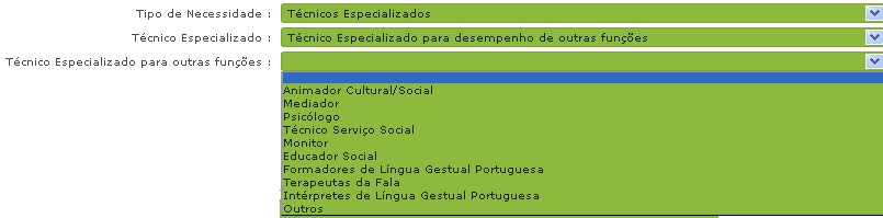 No caso do pedido de um Técnico Especializado para formação, a escola deve indicar ainda se a necessidade pode ser suprida por alguma das categorias disciplinares específicas do GR 530.