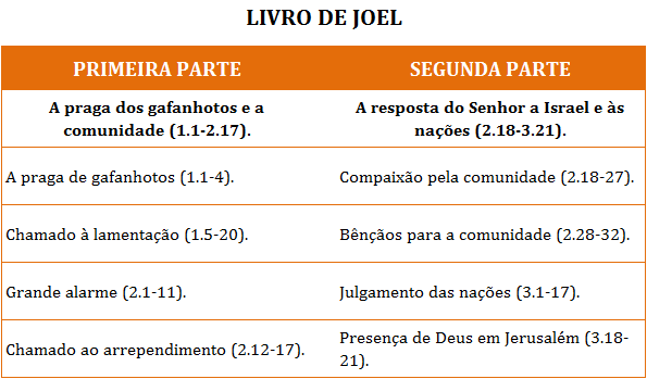 LIÇÃO 3, JOEL O