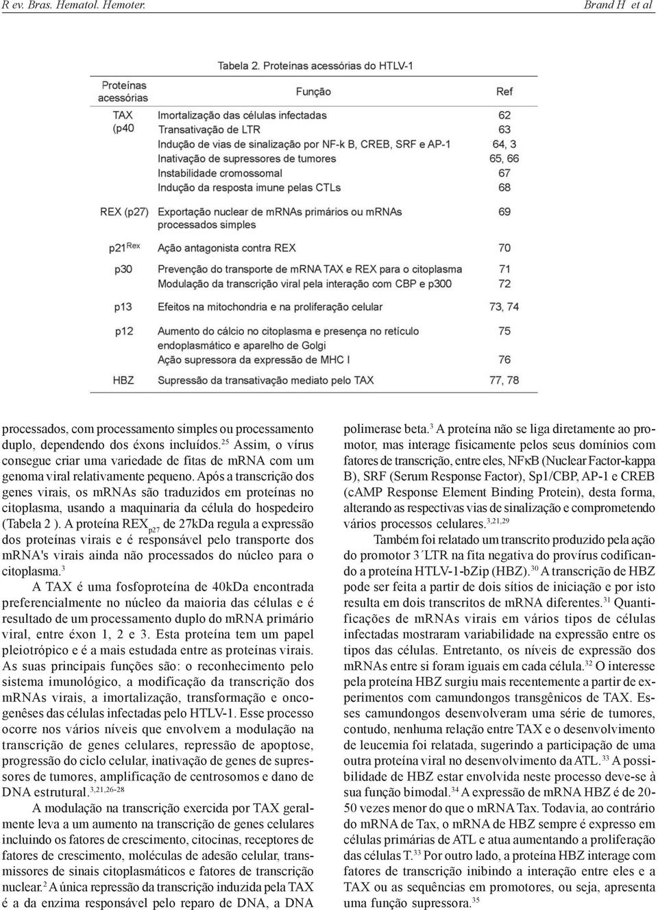 Após a transcrição dos genes virais, os mrnas são traduzidos em proteínas no citoplasma, usando a maquinaria da célula do hospedeiro (Tabela 2 ).