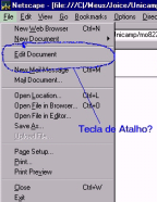 Avaliação de Interfaces 181 Exemplo 11 No Editor do Netscape quando se está editando um documento html, constantemente é necessária a visualização do documento no browser, para se testar links ou