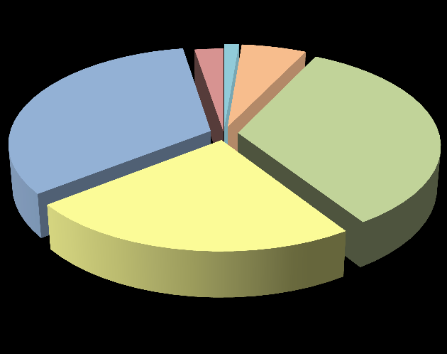 08 Frequência de viagem nos últimos 12 meses 09 Antecedência de chegada para voo doméstico 54% 24% 22% 0 a 2 3 a 5 Mais de 5 14% 15% 6% 8% 30min a 1h 26% 1h a 1h30min 1h30min a 2h 2h a 2h30min 31%