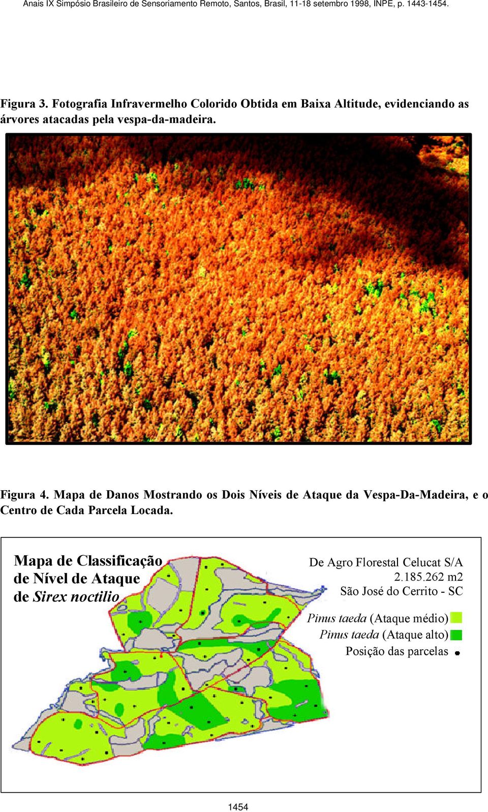 Figura 4. Mapa de Danos Mostrando os Dois Níveis de Ataque da Vespa-Da-Madeira, e o Centro de Cada Parcela Locada.