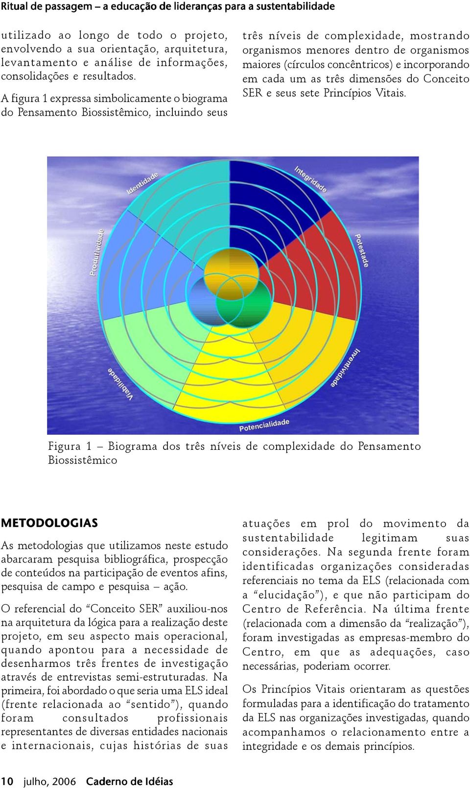 concêntricos) e incorporando em cada um as três dimensões do Conceito SER e seus sete Princípios Vitais.