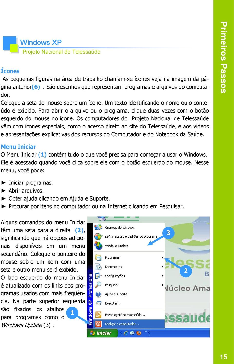 Os computadores do vêm com ícones especiais, como o acesso direto ao site do Telessaúde, e aos vídeos e apresentações explicativas dos recursos do Computador e do Notebook da Saúde.