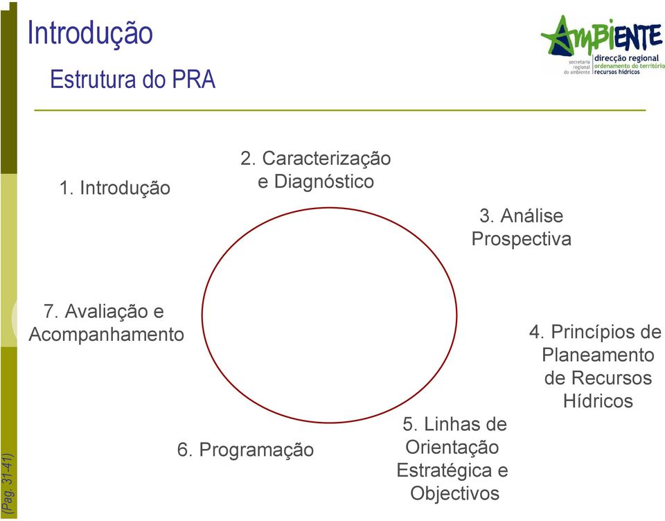 Acompanhamento 6 rogramação 5 Linhas de Orientação