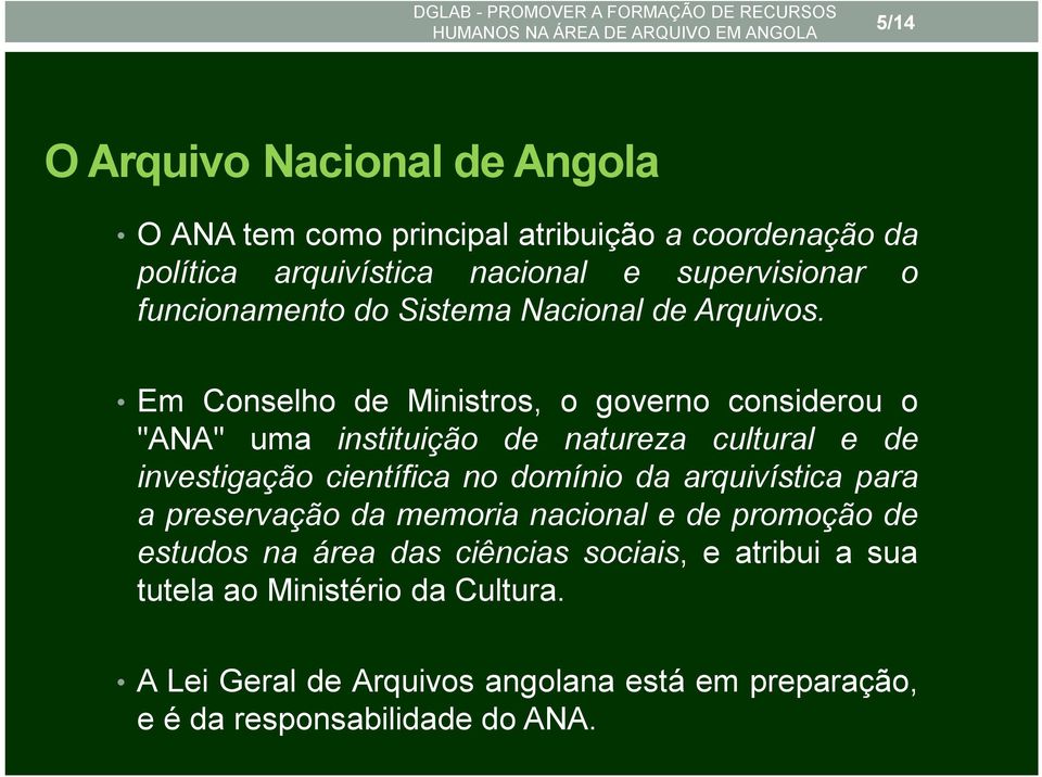 Em Conselho de Ministros, o governo considerou o "ANA" uma instituição de natureza cultural e de investigação científica no domínio da