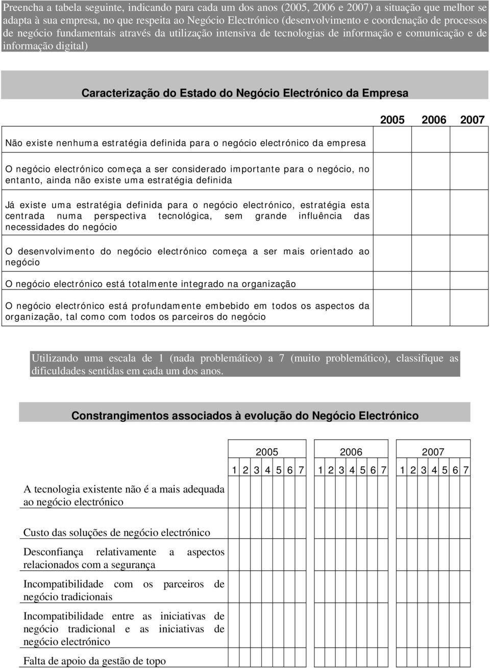 existe nenhuma estratégia definida para o negócio electrónico da empresa 2005 2006 2007 O negócio electrónico começa a ser considerado importante para o negócio, no entanto, ainda não existe uma