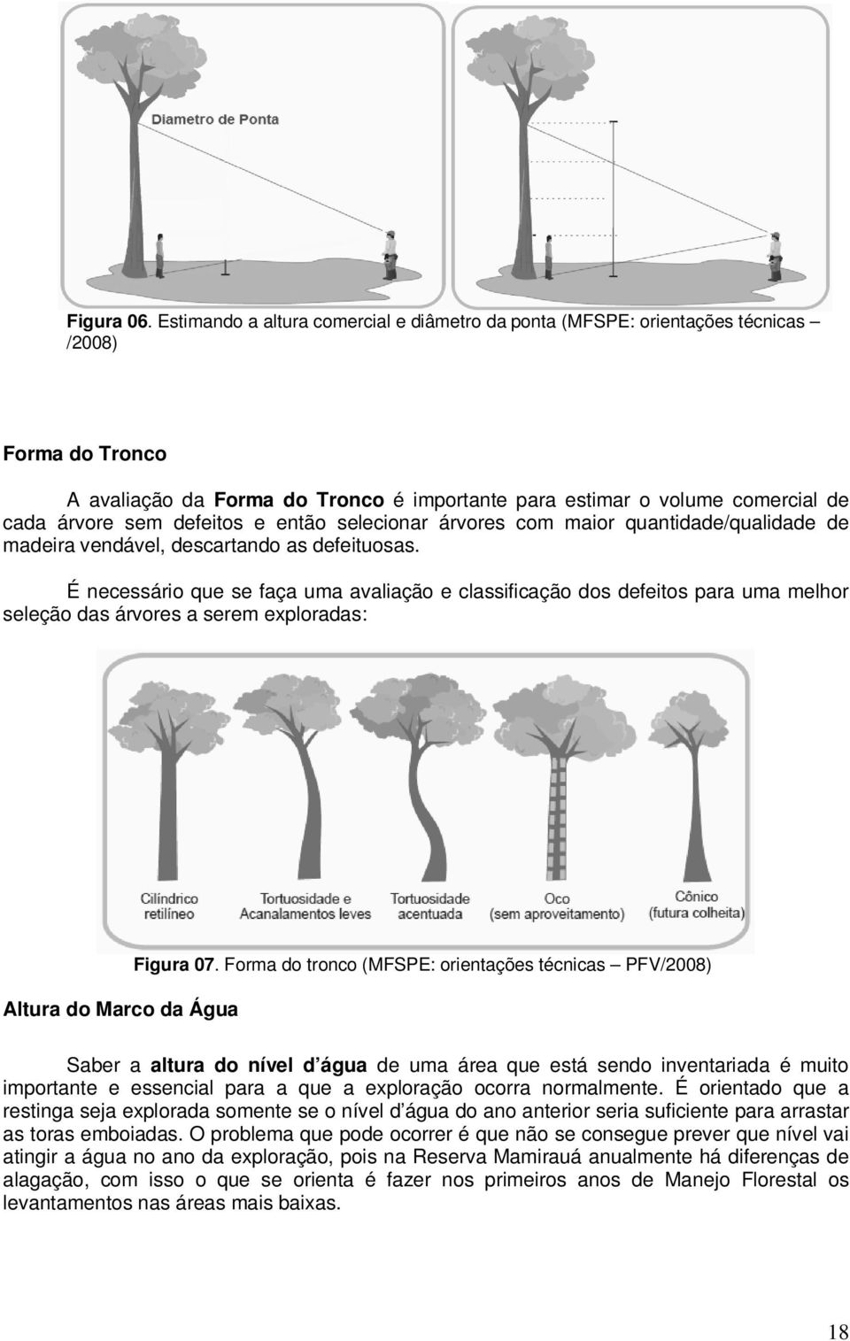 defeitos e então selecionar árvores com maior quantidade/qualidade de madeira vendável, descartando as defeituosas.