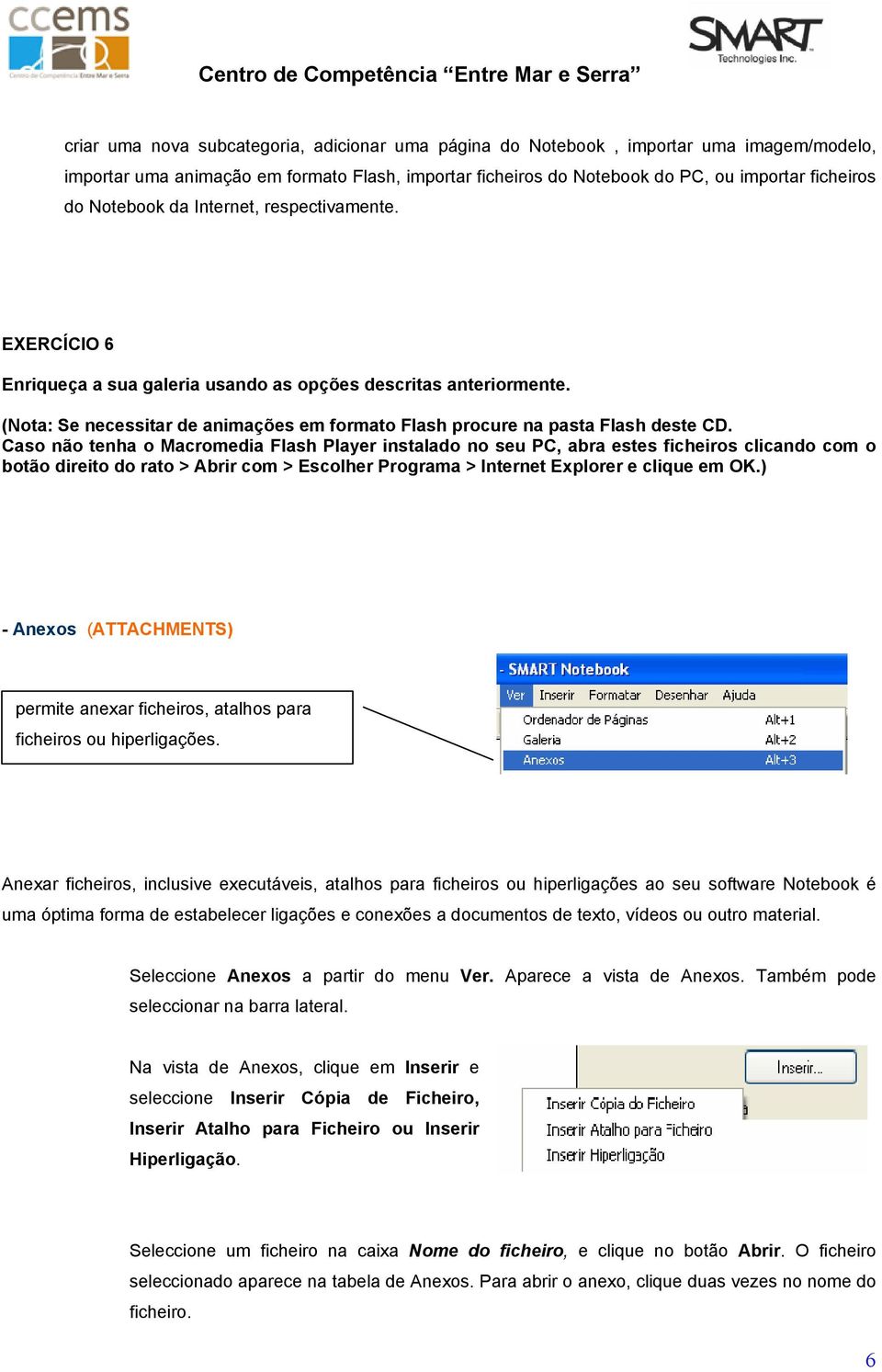 Caso não tenha o Macromedia Flash Player instalado no seu PC, abra estes ficheiros clicando com o botão direito do rato > Abrir com > Escolher Programa > Internet Explorer e clique em OK.