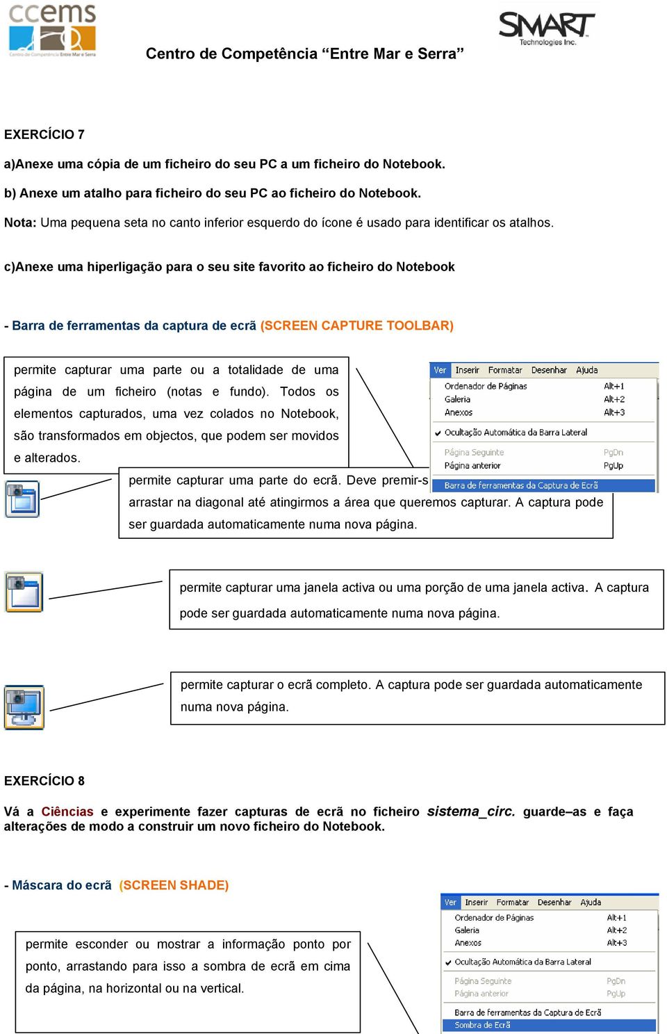 c)anexe uma hiperligação para o seu site favorito ao ficheiro do Notebook - Barra de ferramentas da captura de ecrã (SCREEN CAPTURE TOOLBAR) permite capturar uma parte ou a totalidade de uma página