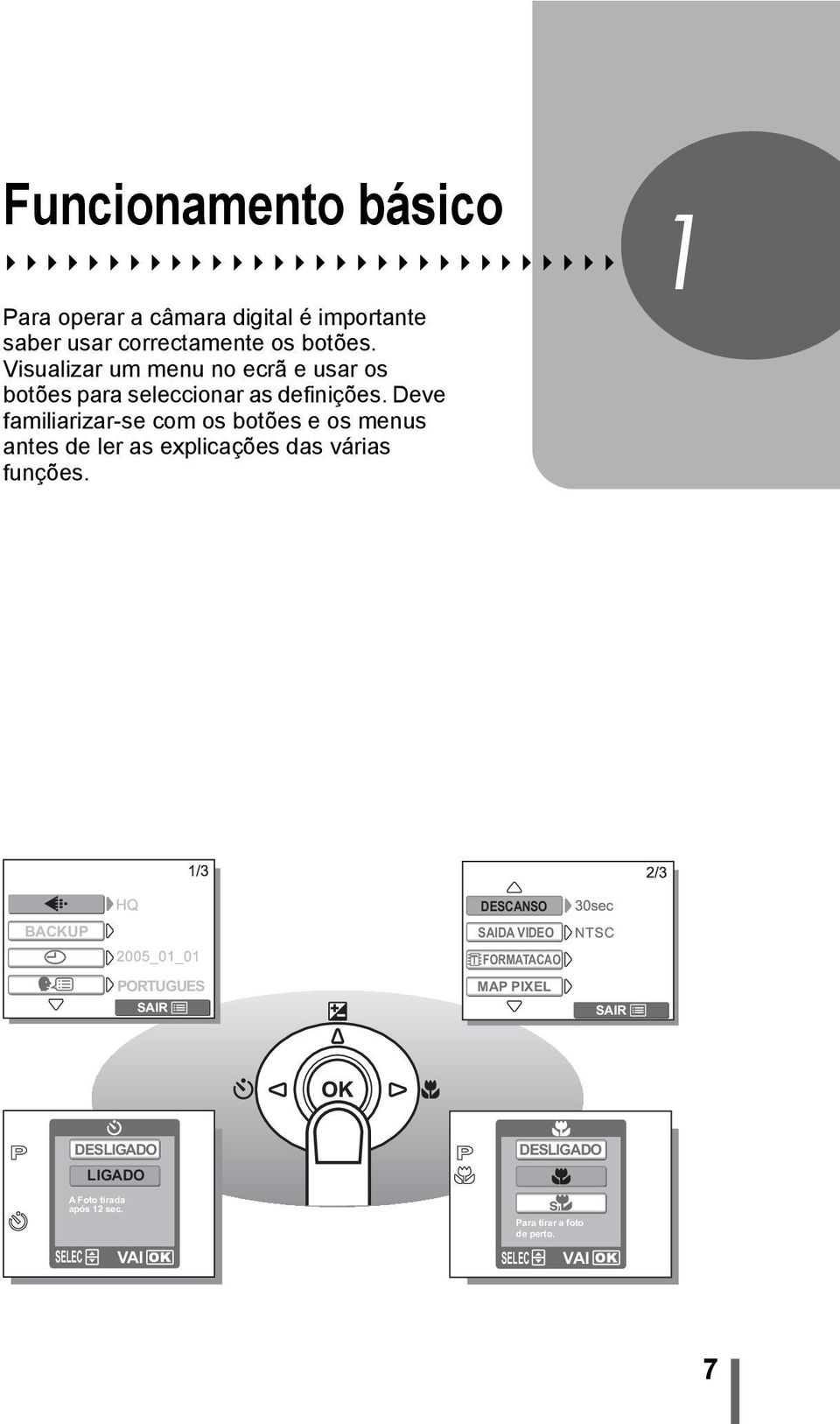 Deve familiarizar-se com os botões e os menus antes de ler as explicações das várias funções.