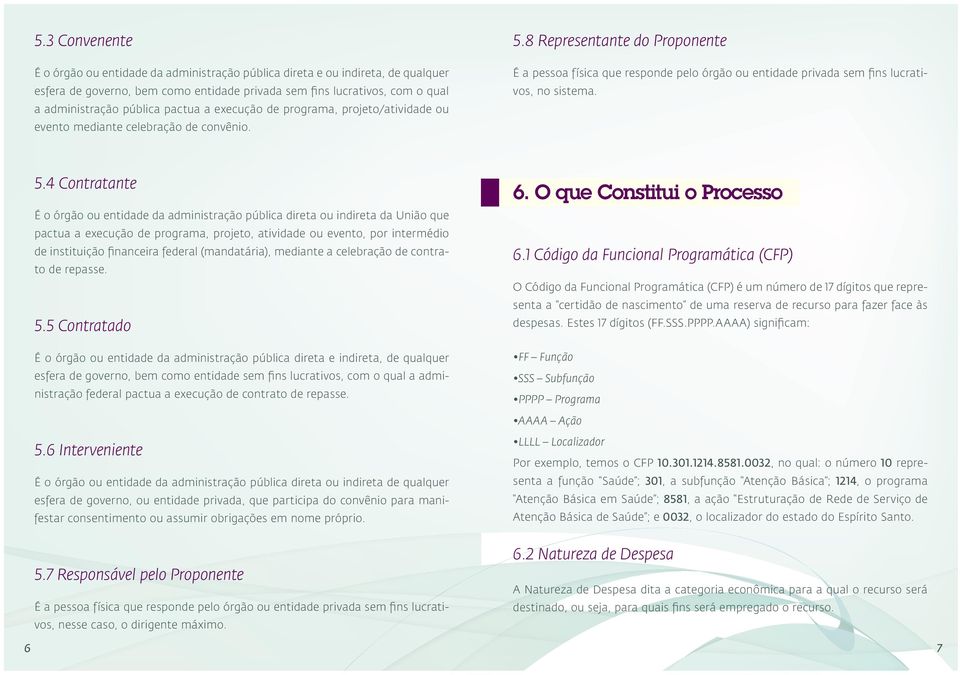 8 Representante do Proponente É a pessoa física que responde pelo órgão ou entidade privada sem fins lucrativos, no sistema. 5.