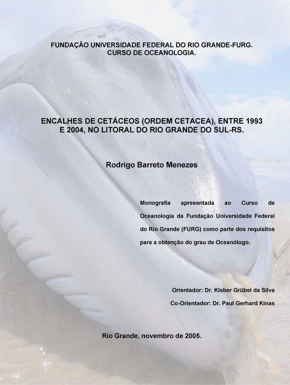 Rodrigo Barreto Menezes Monografia apresentada ao Curso de Oceanologia da Fundação Universidade Federal do Rio