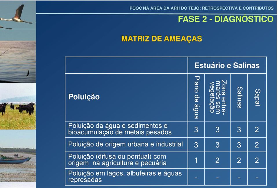 Sapal Poluição de origem urbana e industrial 3 3 3 2 Poluição (difusa ou pontual) com origem na