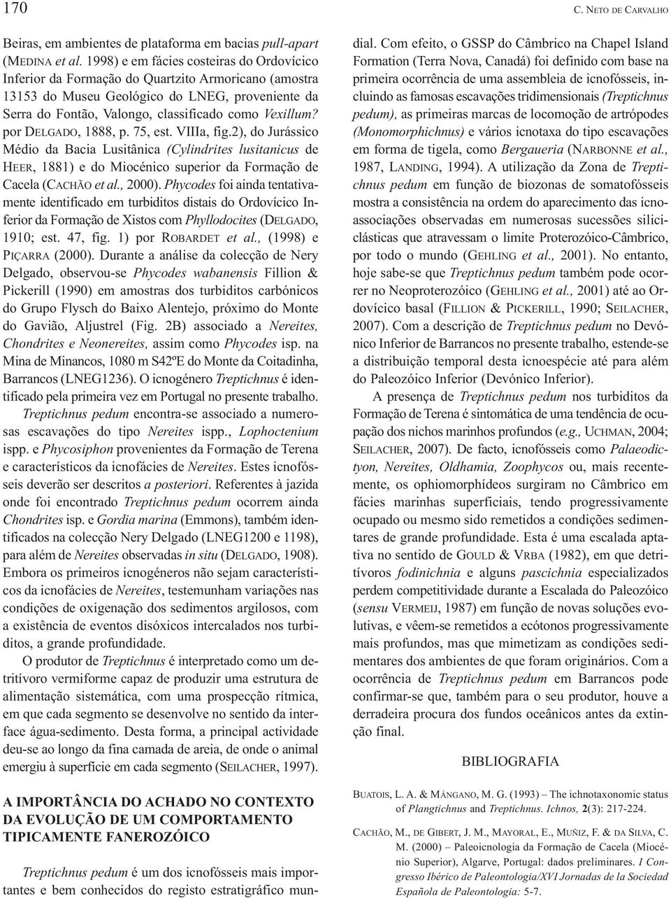 por DELGADO, 1888, p. 75, est. VIIIa, fig.2), do Jurássico Médio da Bacia Lusitânica (Cylindrites lusitanicus de HEER, 1881) e do Miocénico superior da Formação de Cacela (CACHÃO et al., 2000).