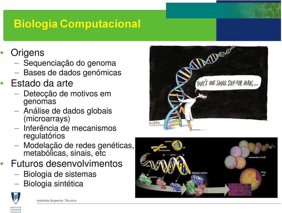 (microarrays) Inferência de mecanismos regulatórios Modelação de redes