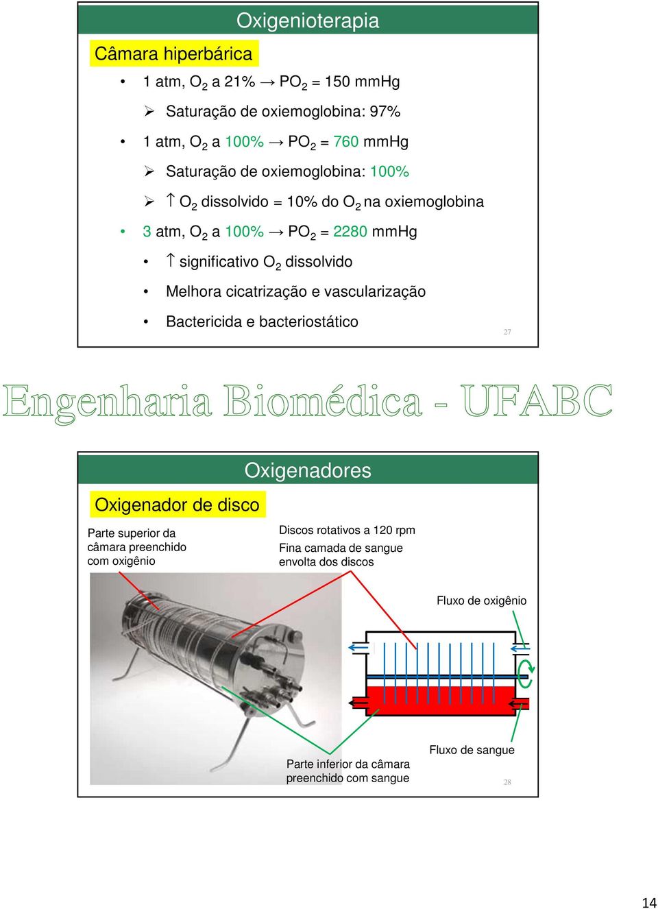 vascularização Bactericida e bacteriostático 7 Oxigenador de disco Oxigenadores Parte superior da câmara preenchido com oxigênio Discos