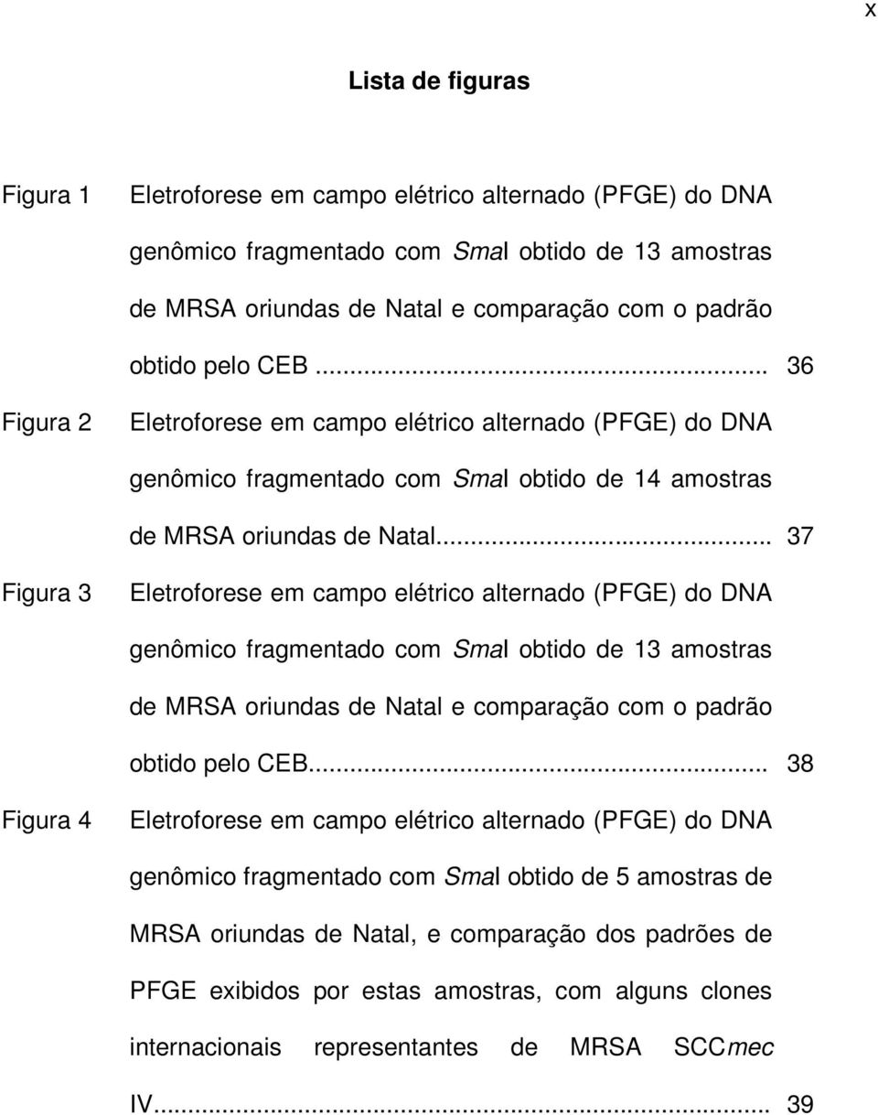.. 37 Figura 3 Eletroforese em campo elétrico alternado (PFGE) do DNA genômico fragmentado com SmaI obtido de 13 amostras de MRSA oriundas de Natal e comparação com o padrão obtido pelo CEB.