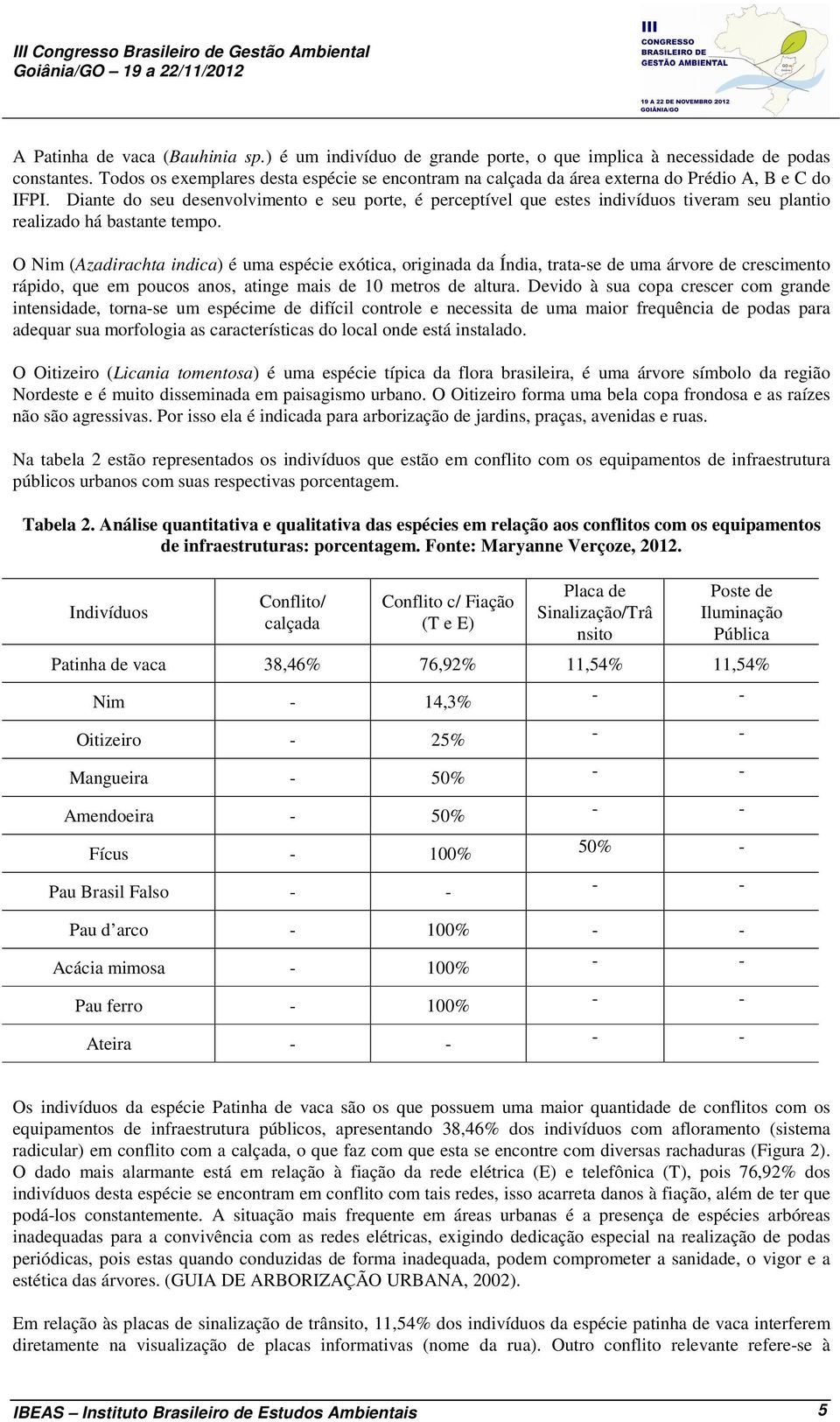 Diante do seu desenvolvimento e seu porte, é perceptível que estes indivíduos tiveram seu plantio realizado há bastante tempo.