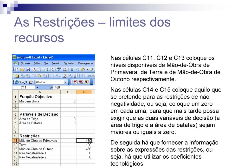 Nas células C14 e C15 coloque aquilo que se pretende para as restrições de não negatividade, ou seja, coloque um zero em cada uma, para que