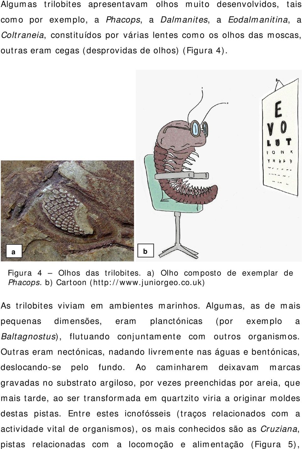 Algumas, as de mais pequenas dimensões, eram planctónicas (por exemplo a Baltagnostus), flutuando conjuntamente com outros organismos.