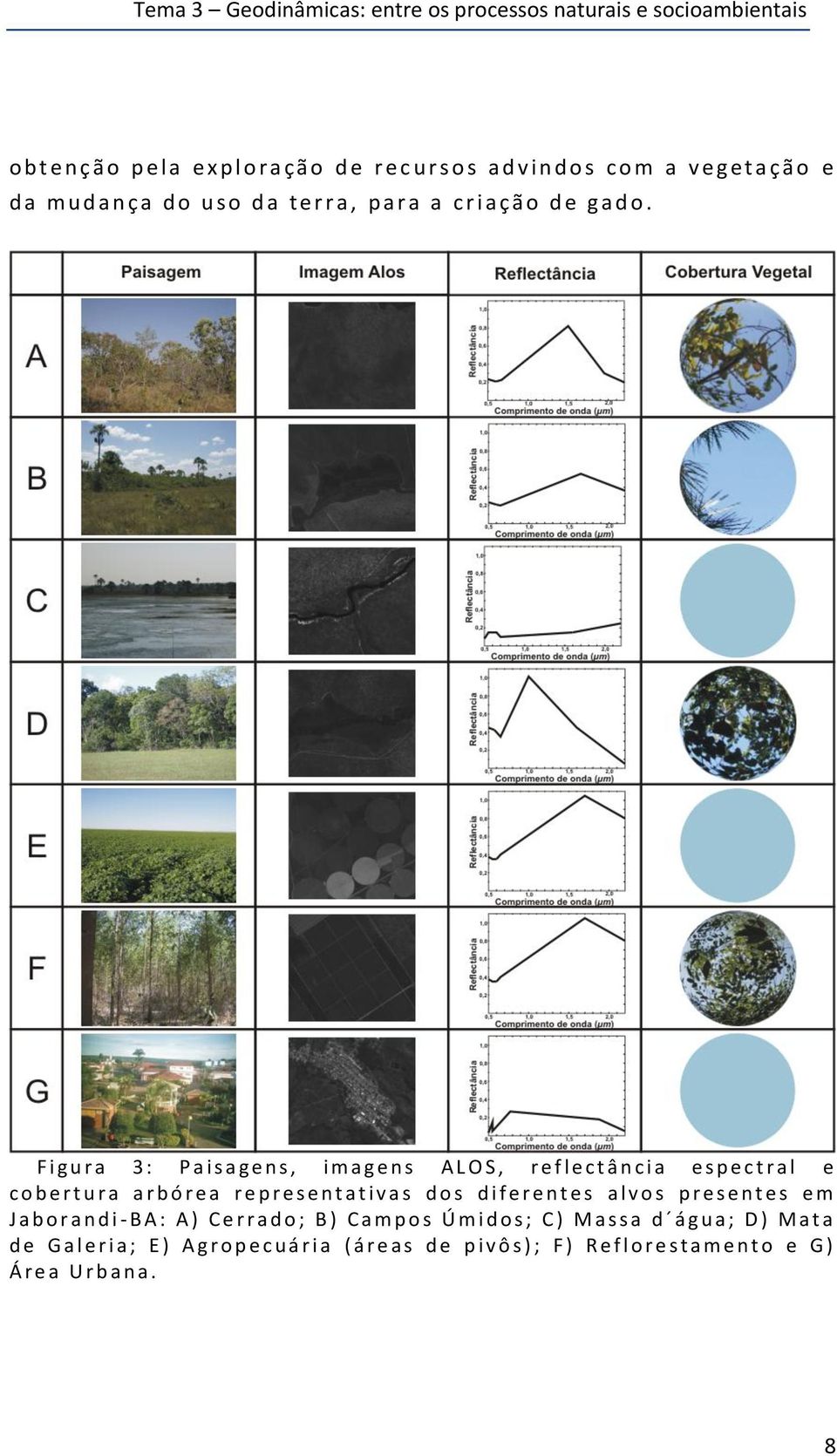 F i g u r a 3 : P a i s a g e n s, i m a g e n s A L O S, r e f l e c t â n c i a e s p e c t r a l e c o b e r t u r a a r b ó r e a r e p r e s e n t a t i v a s d o s d i f e r e